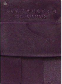 Purple 090420-2