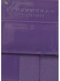 Purple 081007-1