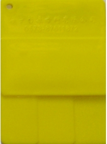 Yellow 090309-4